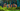 Fetch Logo